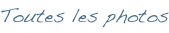 shapeimage_8_link_0